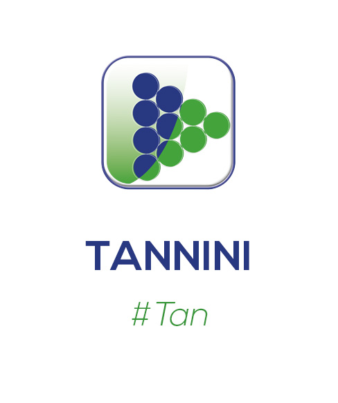 Tannini